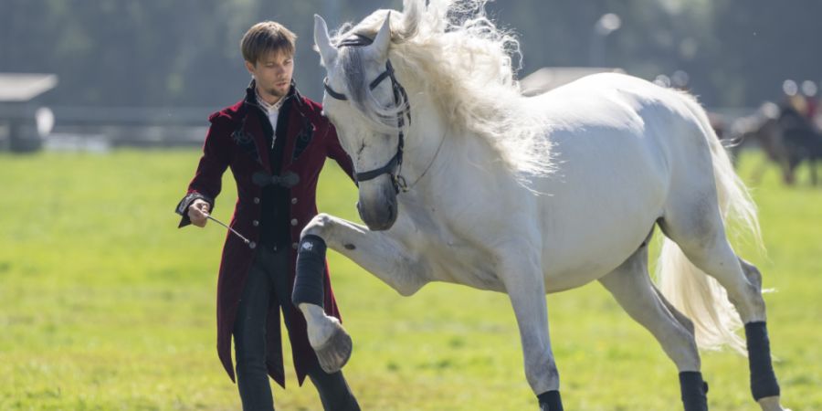 Der Kanton Bern ist erstmals Gast an der Pferdeschau in den jurassischen Freibergen. (Archivbild)