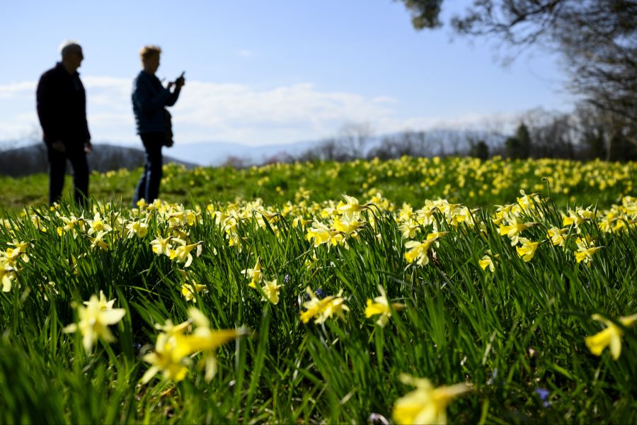 Das Wochenende verspricht sommerliche Temperaturen von bis zu 25 Grad.