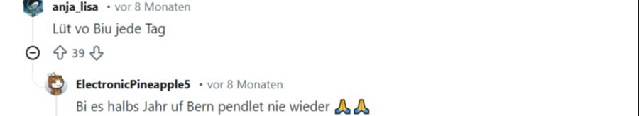 Die Bieler machen es unmissverständlich: «Bin ein halbes Jahr auf Bern gependelt. Nie wieder.»