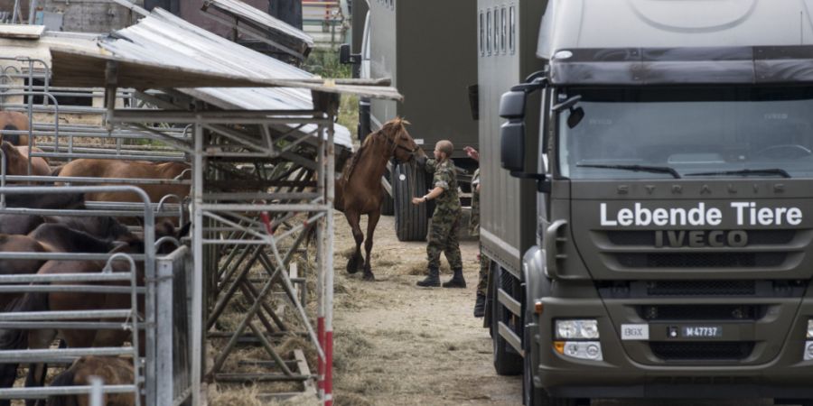 Im Sommer 2017 räumte das Veterinäramt Thurgau den Hof des Tierhalters in Hefenhofen. (Archivbild)