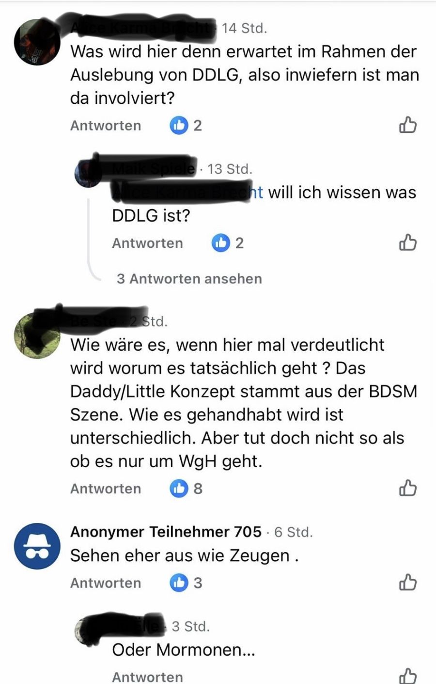 Einzelne Kommentierende verglichen das Wohnangebot mit einer Sekte oder äusserten deutliche Zweifel am Konzept.