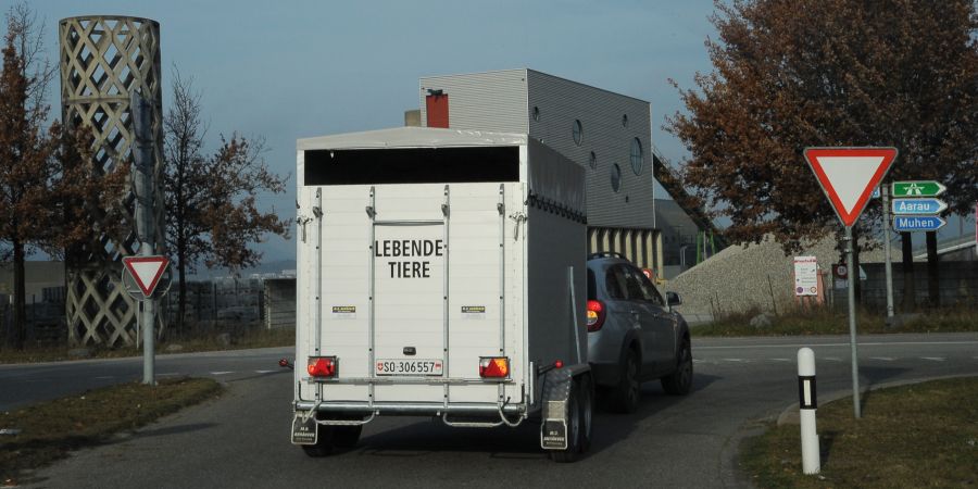 Tiertransport