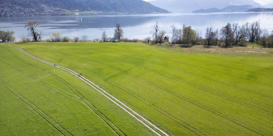 Personen laufen auf einem Weg durch ein Feld bei der Chollermülli-Landschaft der Lorzenebene.