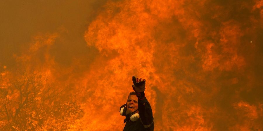 Bislang gibt es in Griechenland rund 14.100 Feuerwehrleute. Auch Privatleute bereiten sich auf den Kampf gegen die Brände vor.