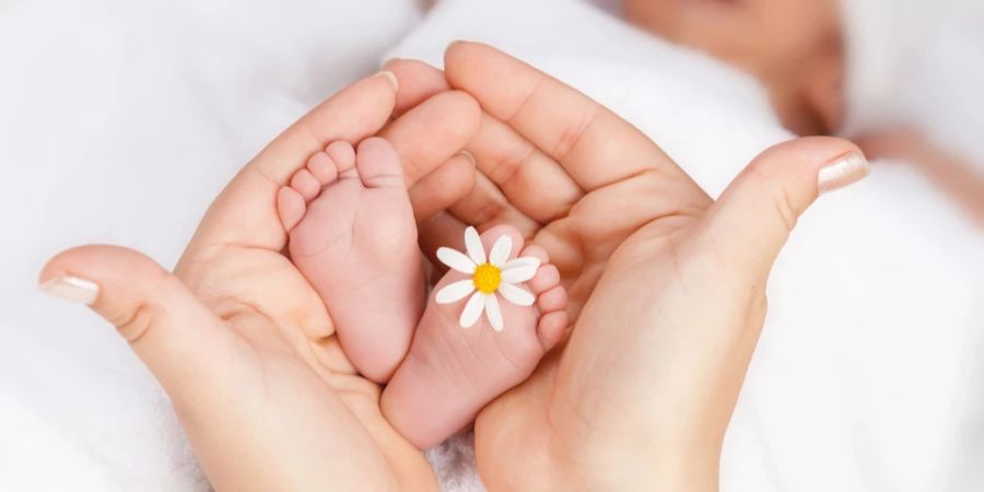 Baby Füsse Gänseblümchen Frauenhände halten