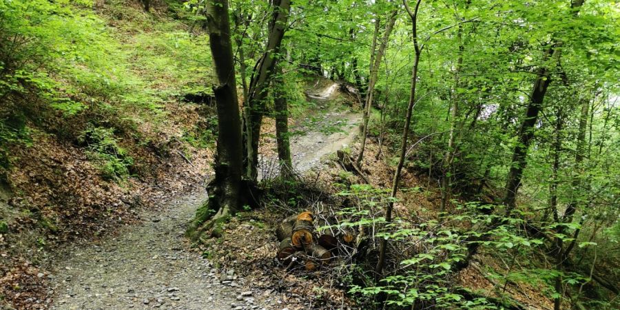 Auf diesem Wanderweg war ein Nau.ch-Leser unterwegs.