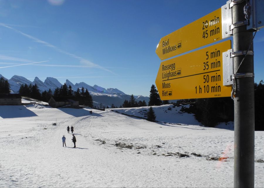 Churfirsten Wildhaus Winterwanderung