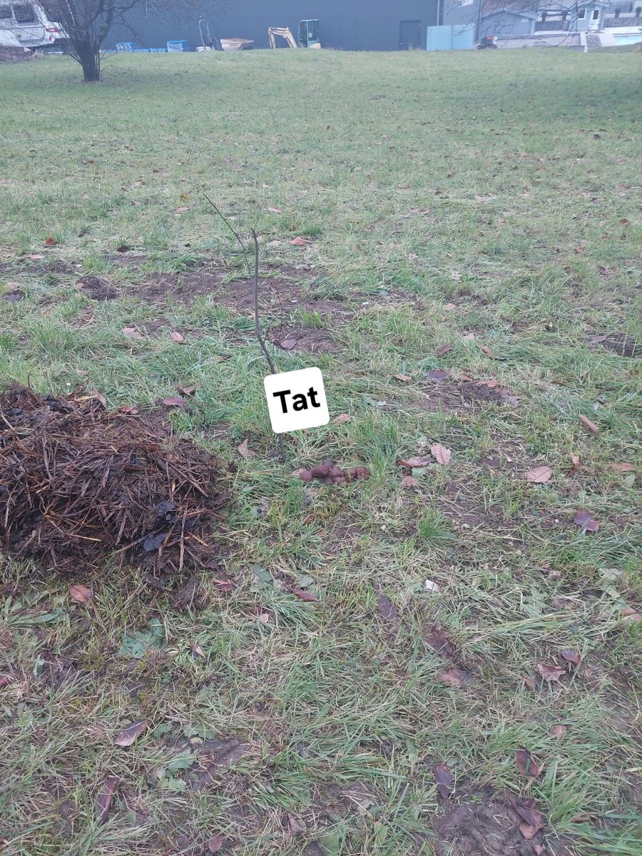 Mehrere Haufen liegen auf der landwirtschaftlich genutzten Fläche.