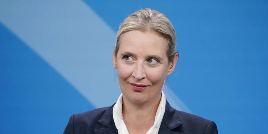 Weidel afd