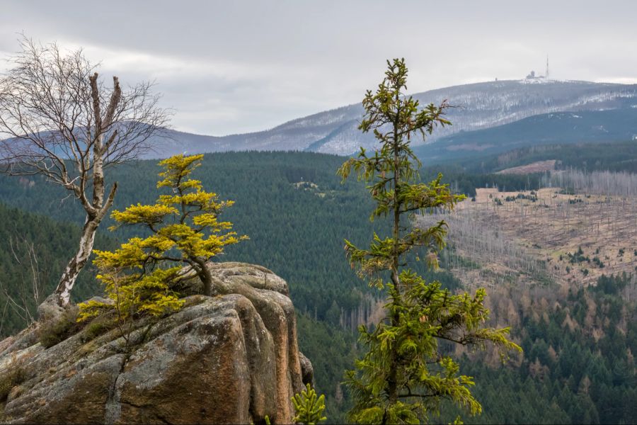Brocken
