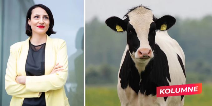Krisen überall - Die Welt am Abgrund – ist Veganismus noch relevant?
