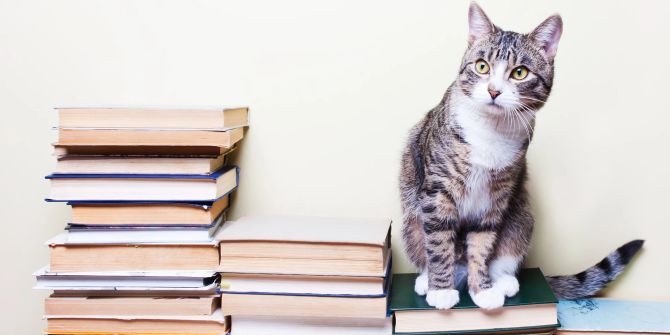 Katze auf Buch