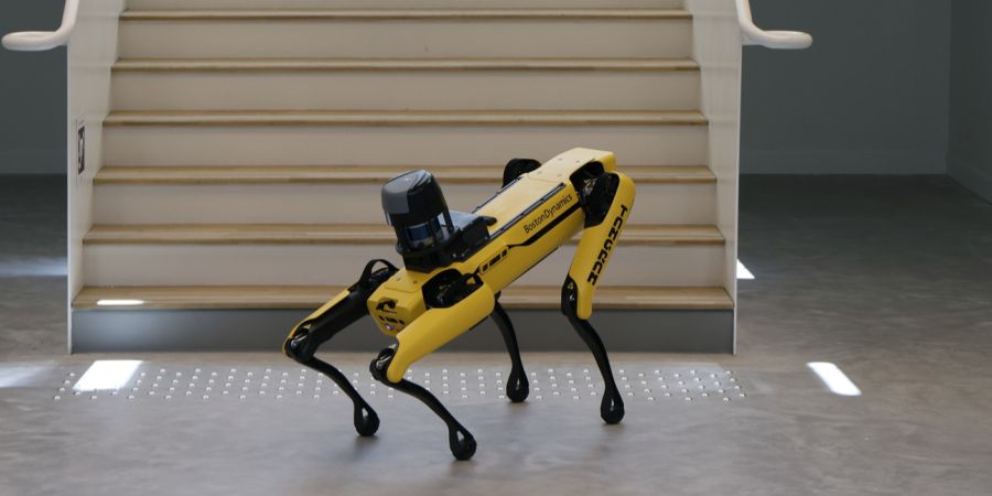 Roboter-Hund