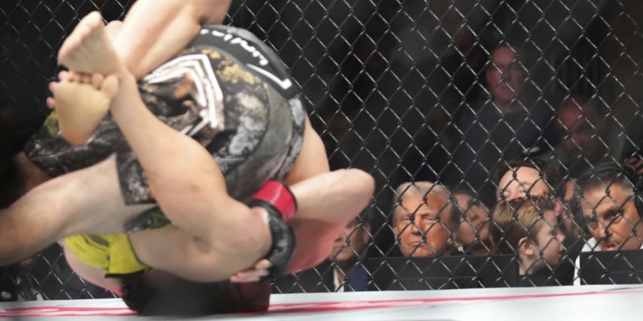 ARCHIV - US-Präsident Donald Trump (l-r), Elon Musk und sein Sohn X Æ A-Xii besuchen einen Mixed Martial Arts-Kampf bei UFC 314 Ultimate Fighting Championship in Miami. Foto: Lynne Sl...