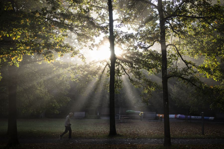 Der meteorologische Herbst beginnt am 1. September.