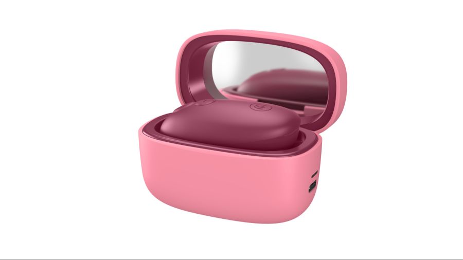 Der kompakte Womanizer Snap!