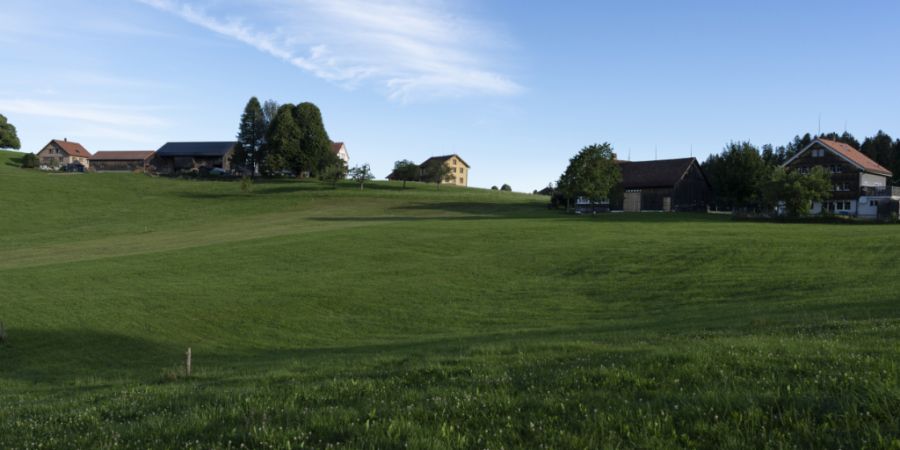 Im Siedlungsgebiet darf man im Kanton Appenzell Ausserrhoden wieder Grillieren, im Wald nicht. Im Bild: Landschaft bei Wald AR.