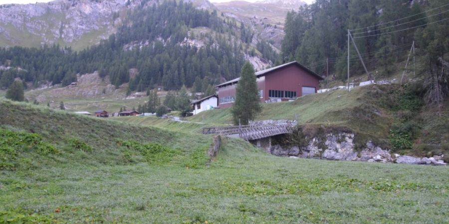 Auf dieser Wiese in Cröt GR erlegte ein Jäger am Sonntagmorgen versehentlich ein Pferd.