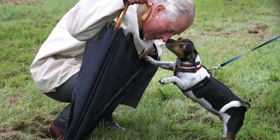 Beth, einer der vierbeinigen Begleiter von Königin Camilla und König Charles, ist tot. (Archivbild)