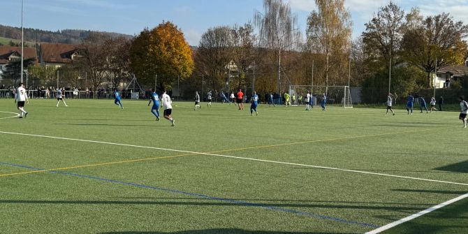 FC Oetwil-Geroldswil