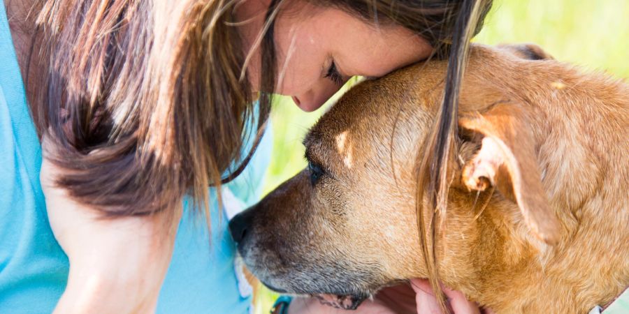 Frau und Hund, liebevoll