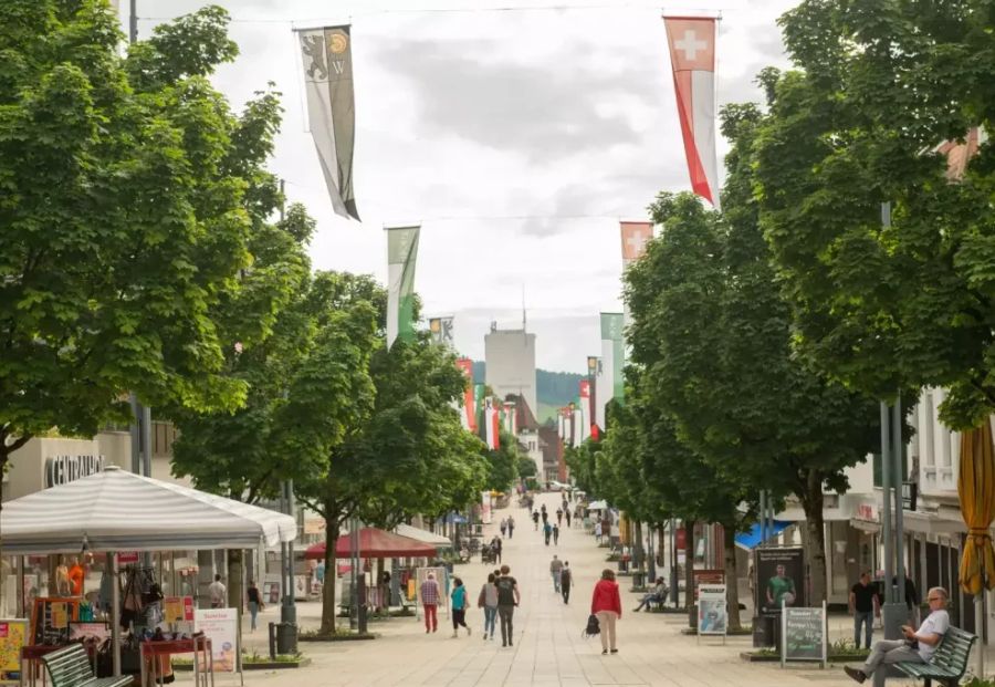 Doch die Kosten stehen derzeit nicht im Verhältnis zum Mehrwert.