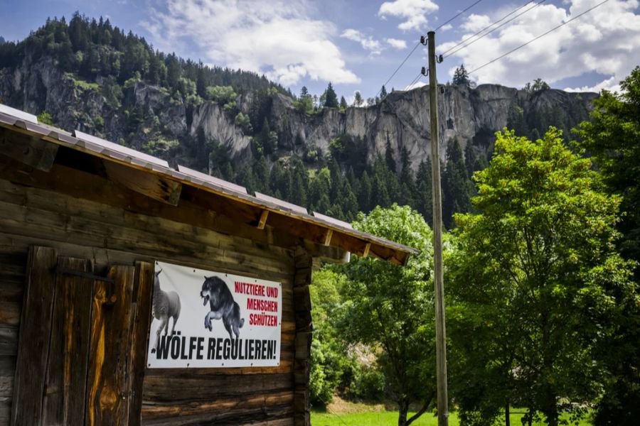 Nach den jüngsten Entscheidungen des Bundesamts für Umwelt dürfen im Wallis etwa neun von insgesamt rund 120 Wölfen geschossen werden.