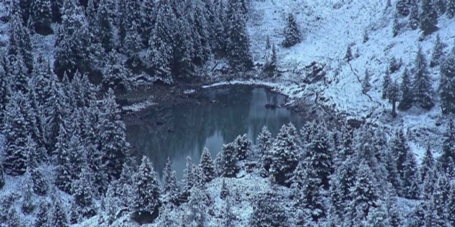 Elsigen Metsch Wetter