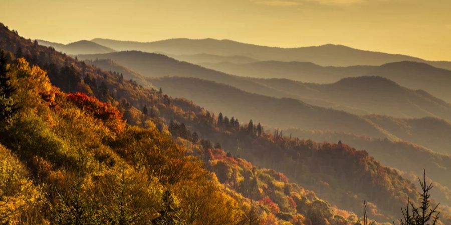 Great Smoky Mountains Nationalpark Herbst Abendsonne goldener Schimmer