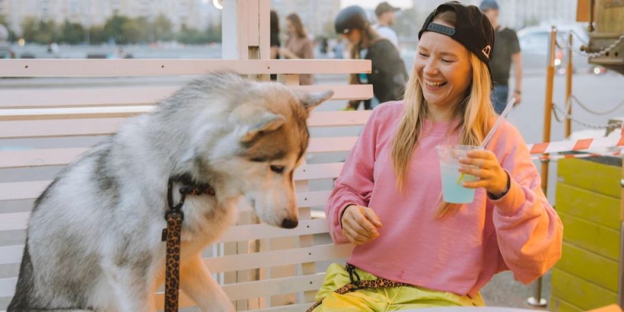 Mensch Getränk Hund