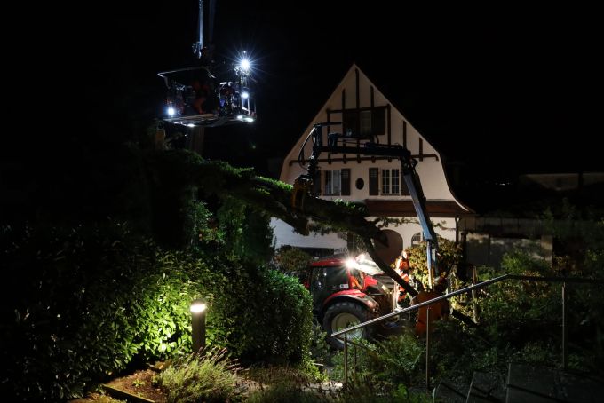 Umgestürzter Baum in der Stadt Zug Umgestürzter Baum