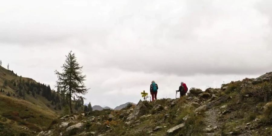 In den österreichischen Alpen sind in dieser Sommersaison mindestens 122 Menschen ums Leben gekommen. Foto: Astrid Ehrenhauser