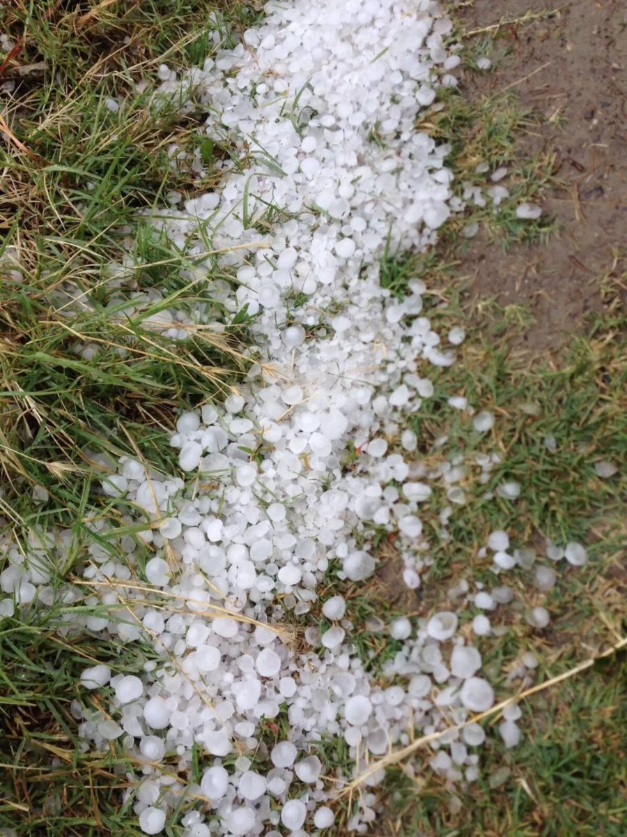 Hagel Italien Gras