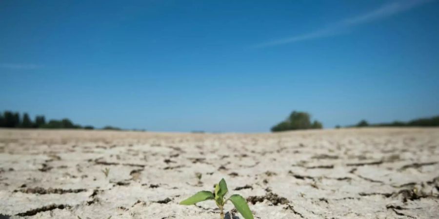 Dürre an der Loire in Frankreich