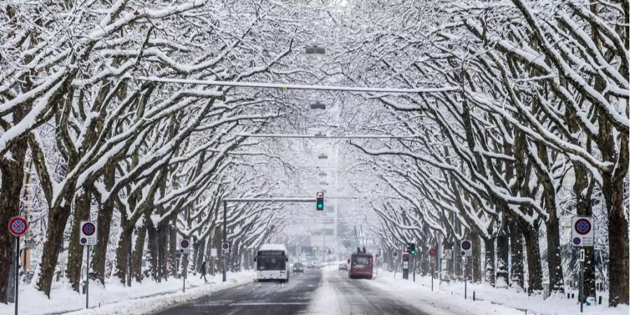 Ab Donnerstag ist mit Schnee bis in die Niederungen zu rechnen.
