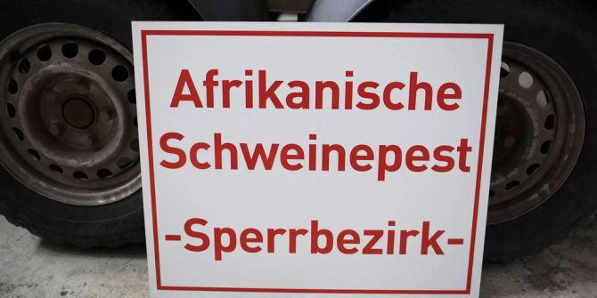 Afrikanischen Schweinepest china