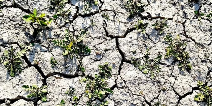 Deutsche Wetter-Experten glauben schon jetzt, es gäbe wieder einen rekordverdächtigen Hitze-Sommer 2019. Trockener Boden Wetter