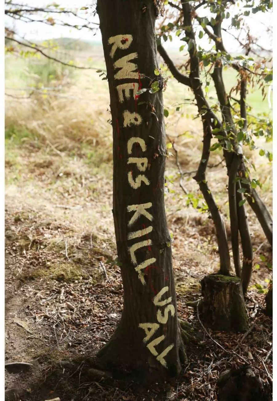 Aktivisten haben im Hambacher Forst mehrere Bäume mit Botschaften begemalt, hier «RWE & CPS kill us all» (RWE und Polizisten bringen uns alle um).