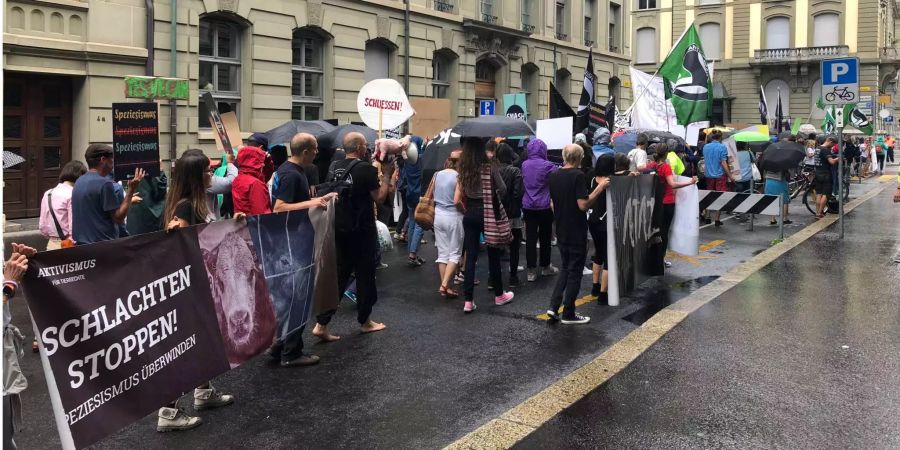 Die Tierrechts-Aktivisten marschieren durch Bern.