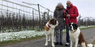 Gemeinde - In Kemmental sind demnächst die Hundesteuern 2022 fällig