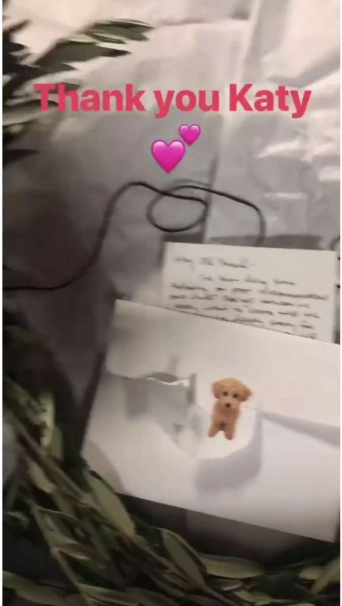 In ihrer Instagram-Story bedankt sich Taylor Swift bei Katy Perry für deren Zeilen. In ihrer Instagram-Story bedankt sich Taylor Swift bei Katy Perry für deren Zeilen.
