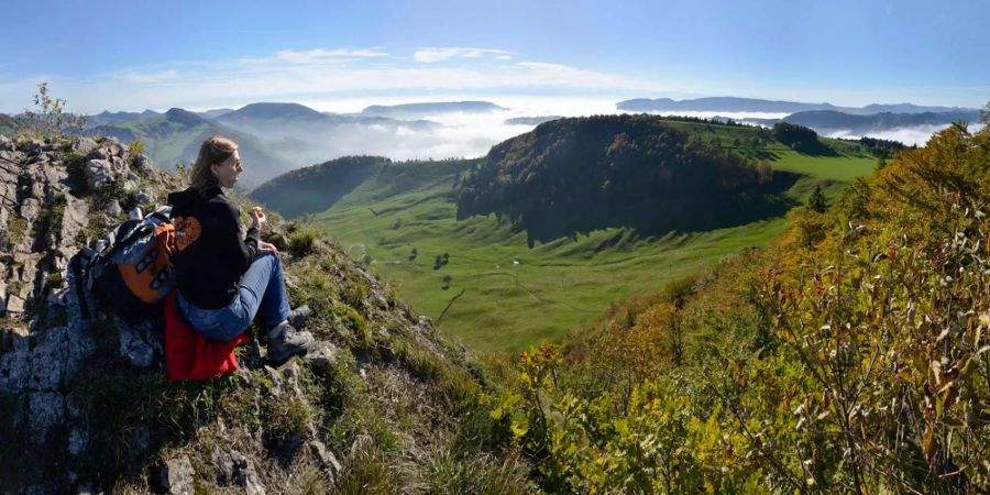 Das ist die Aussicht vom Vogelberg, Bild: Heinz Staffelbach