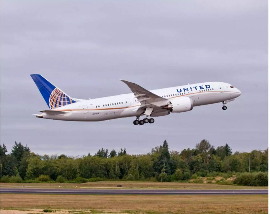 United Airlines übernimmt die Verantwortung für den Tod des Tieres.