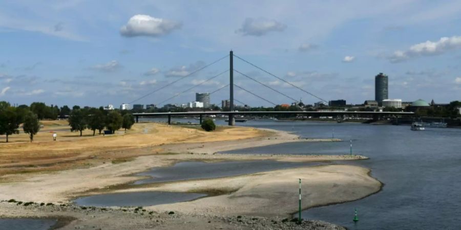 Rhein bei Düsseldorf im August 2019