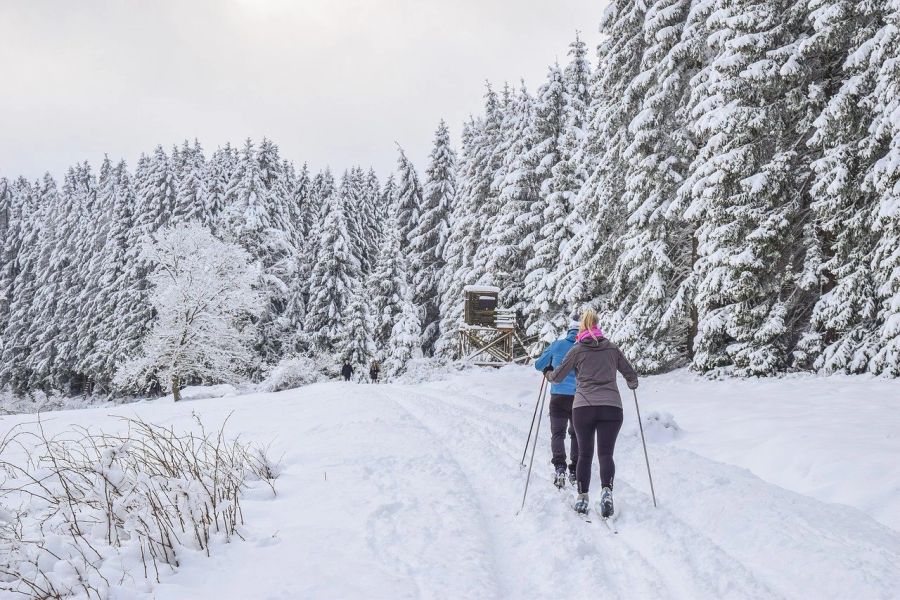 Skilanglauf