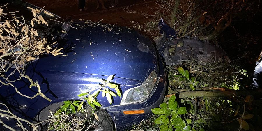 Bottmingen BL: Selbstunfall infolge Sekundenschlaf