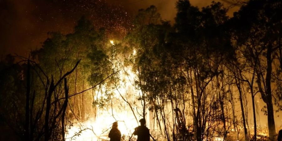 Brand Comer See Strafe
