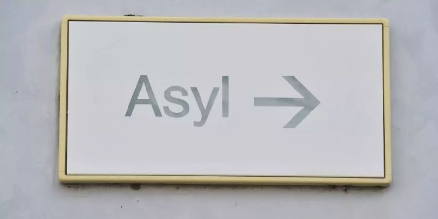 Studie Asylanträge.