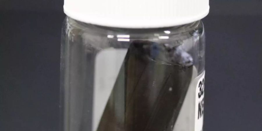 Seit Jahrzehnten sammeln Wissenschaftler Sedimentproben vom Grund der Ozeane. Foto: JAMSTEC/Nature/dpa