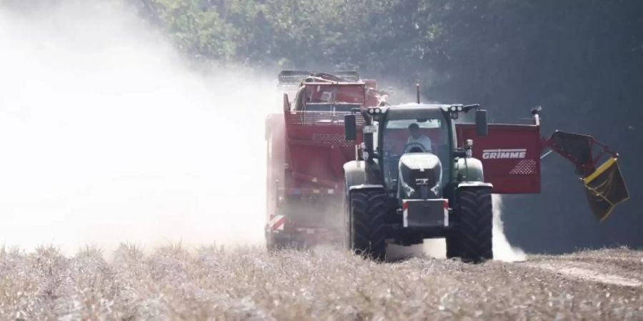 Ein Landwirt erntet auf einem staubtrockenen Feld bei Hannover Kartoffeln. Auch 2020 war die Trockenheit ein grosses Problem für Landwirte. Foto: Julian Stratenschulte/dpa